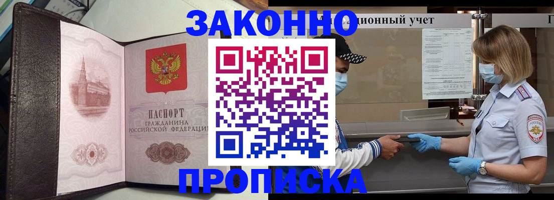 прописка гарантия в Стародубе